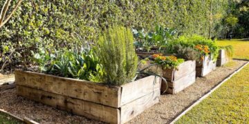 Huerta en casa: qué sembrar en primavera y cómo cuidarla