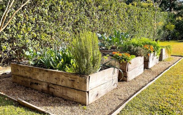 Huerta en casa: qué sembrar en primavera y cómo cuidarla