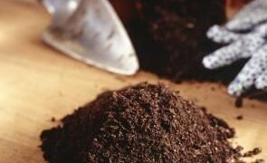 Secretos de cultivo: la importancia de elegir un buen sustrato para tus plantas (video)