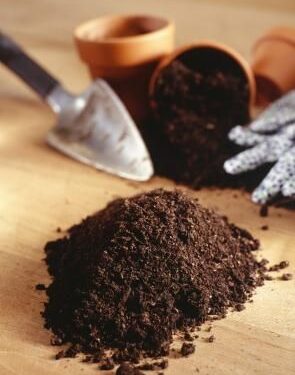 Secretos de cultivo: la importancia de elegir un buen sustrato para tus plantas (video)