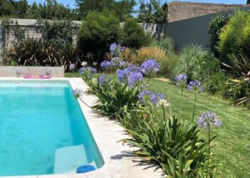 Cómo pensar las plantas para los bordes de la pileta: 4 flores ideales, by Itas Flowers