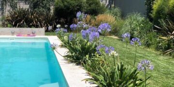 Cómo pensar las plantas para los bordes de la pileta: 4 flores ideales, by Itas Flowers