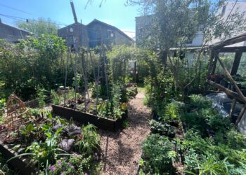 La historia del vivero Las Pavonias, junto a Ana Pavón (video)