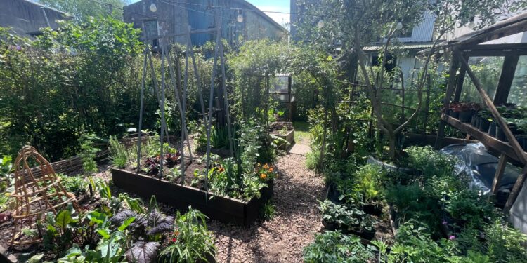 La historia del vivero Las Pavonias, junto a Ana Pavón (video)