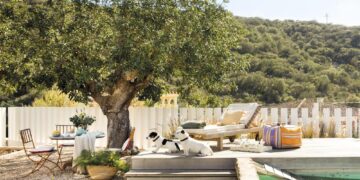 5 árboles ideales para dar sombra todo el año (by Nacho Vanheden)