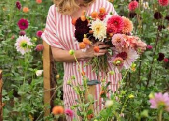 Flores de verano: 5 especies coloridas para la temporada de más disfrute en el jardín