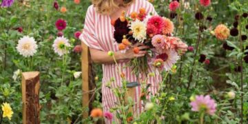 Flores de verano: 5 especies coloridas para la temporada de más disfrute en el jardín