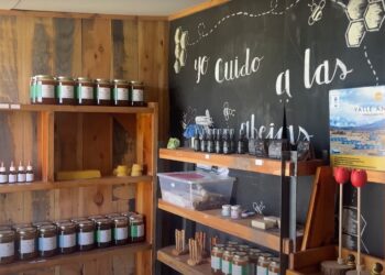 De Raíz de viaje: emprendimientos agroecológicos para visitar en Trevelin (día 5)