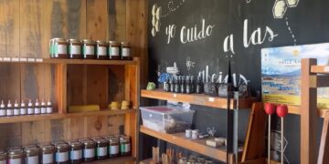 De Raíz de viaje: emprendimientos agroecológicos para visitar en Trevelin (día 5)