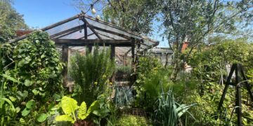 Pasen y vean: recorremos el vivero para el disfrute de Las Pavonias (video)