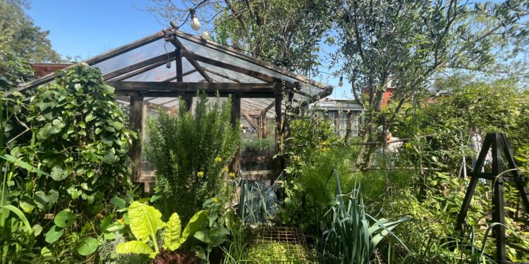 Pasen y vean: recorremos el vivero para el disfrute de Las Pavonias (video)