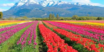 DeRaíz de viaje: te contamos todo sobre Trevelin (día 1)