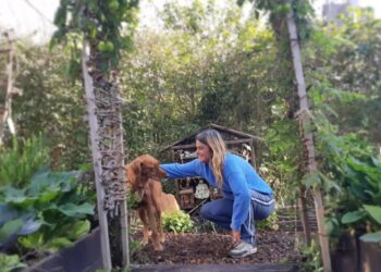 Secretos para cosechar semillas, by Ana de Las Pavonias