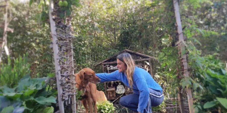 Secretos para cosechar semillas, by Ana de Las Pavonias