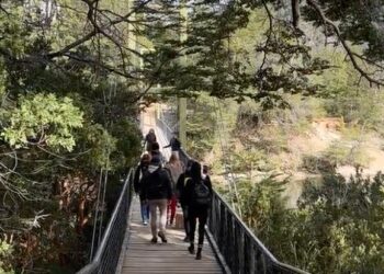 De Raíz de viaje: visitamos el parque nacional Los Alerces en Trevelin (día 3)