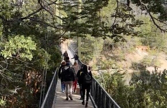 De Raíz de viaje: visitamos el parque nacional Los Alerces en Trevelin (día 3)