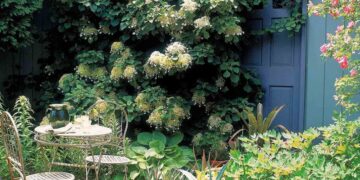 Las mejores plantas de exterior para tener en un jardín con poco sol en Argentina, según la Inteligencia Artificial