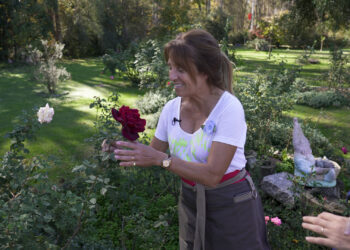 Así es la chacra de Connie Moreno Quintana: está repleta de rosas, plantas, flores y espacios únicos (segunda parte)