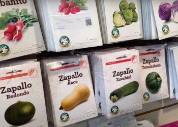 Esta es la última novedad a la hora de comprar semillas de alta calidad