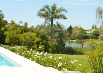 Piletas: ¿Cuál es la opción más segura para evitar accidentes?