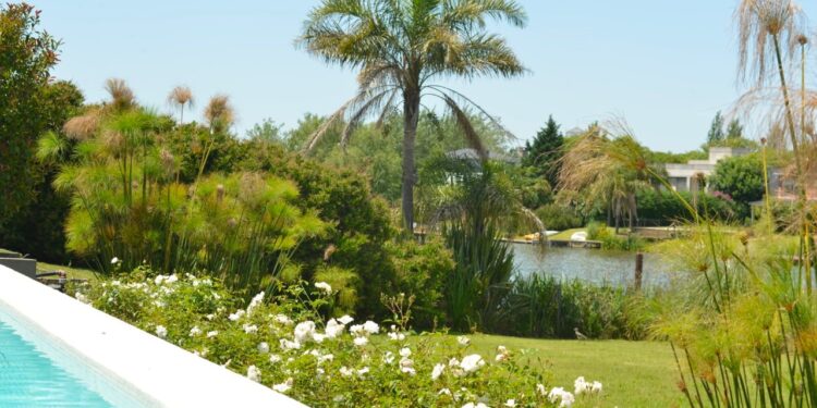 Piletas: ¿Cuál es la opción más segura para evitar accidentes?