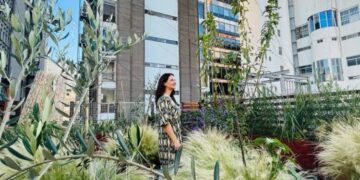 6 plantas que podés tener en una terraza llena de sol