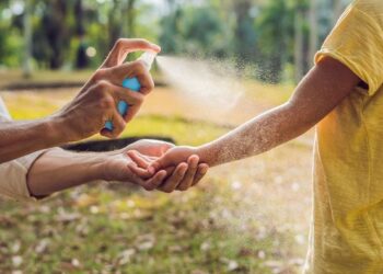 Chau mosquitos: las mejores plantas e ingredientes naturales para ahuyentarlos