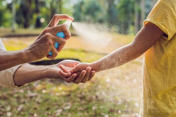 Chau mosquitos: las mejores plantas e ingredientes naturales para ahuyentarlos