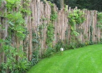 Palo a pique: el recurso para tapar visuales o separar sectores en el jardín