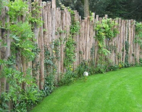 Palo a pique: el recurso para tapar visuales o separar sectores en el jardín