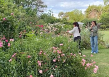 Jardinera Científica: paseamos por el jardín de Dalila