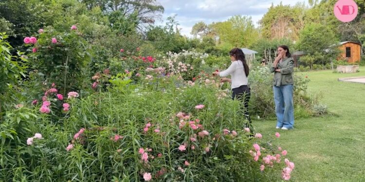 Jardinera Científica: paseamos por el jardín de Dalila