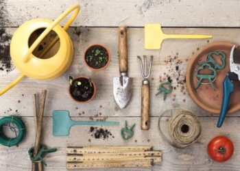 Descubrí cómo limpiar correctamente tus herramientas de jardinería