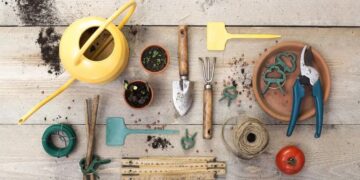 Descubrí cómo limpiar correctamente tus herramientas de jardinería