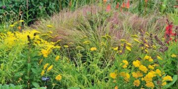 Llegó el otoño: qué especies sembrar y plantar en el jardín en marzo