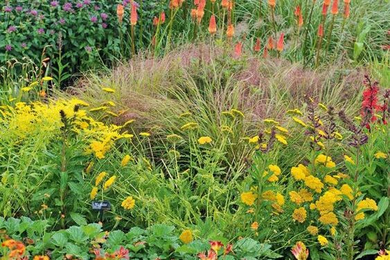 Llegó el otoño: qué especies sembrar y plantar en el jardín en marzo