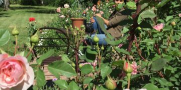 ¿Quién es Dalila, la jardinera científica? Conocé otra historia de vida