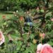 ¿Quién es Dalila, la jardinera científica? Conocé otra historia de vida
