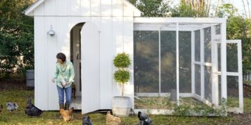 Tendencia: Gallinas en el jardín ¿Qué tenés que saber antes de aventurarse?