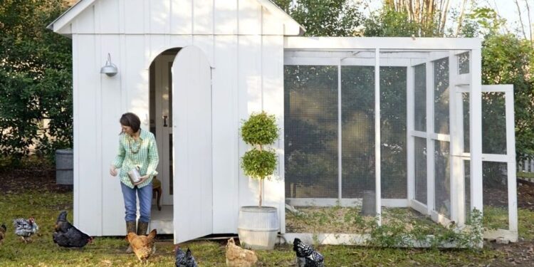 Tendencia: Gallinas en el jardín ¿Qué tenés que saber antes de aventurarse?