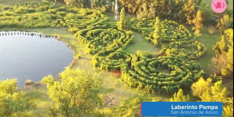 En San Antonio de Areco crean un laberinto de bambú de experiencias sensoriales que recupera el suelo