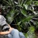 Paisajismo: Recorrida por el jardín de la periodista Eleo Cole