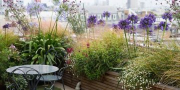 Tapar al vecino: plantas resistentes al viento para ganar privacidad en terrazas