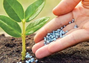 Qué significa NPK en jardinería y por qué es tan importante