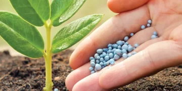 Qué significa NPK en jardinería y por qué es tan importante