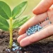 Qué significa NPK en jardinería y por qué es tan importante