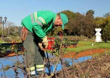 Fiesta del Rosedal: así vivimos el evento de poda y entrega de esquejes de rosas