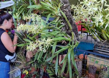 Agenda: ¿Dónde es y de qué se trata el próximo evento de jardinería?