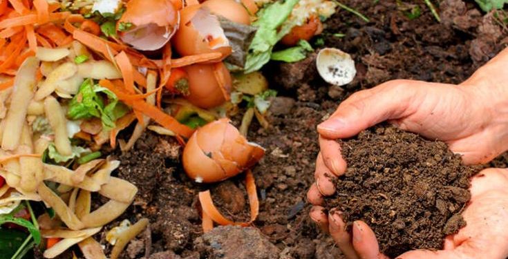 Todo lo que tenés que saber sobre el vermicompost: el abono orgánico del momento