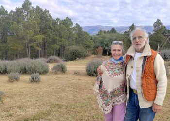 Amor por la lavanda: Aníbal Carlini y Veronica Hussing cuentan como se sumergieron en este universo.